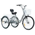 bicicleta de tres ruedas